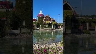 Dubai Miracle Garden 2024#facts #shorts #ytshorts