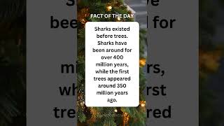 #facts #fact #factoftheday #christmas #shorts #viralshort #viralvideo #viralshorts #love