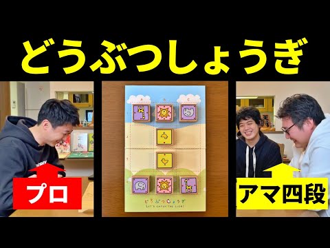 プロ棋士が「どうぶつしょうぎ」やってみた