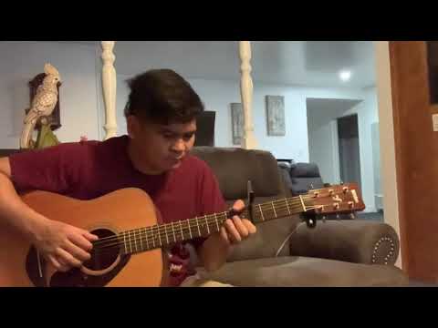 My heart will go on ||  Celine dion Fingerstyle Guitar