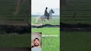 Horse video 😭😭 🐎🐎🐎 #horse #horseing #horsevideo#song #status #youtubevideo #youtube