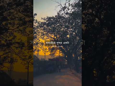 Dear 2025 ❤️ | Bangla status | #viralstatus #shortvideo #reels #trending