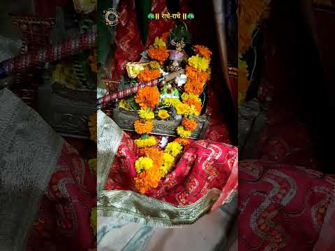 🦚Radhe Radhe🦚 #littlekrishna #krishna #kanha #janmashtami #laddugopal #jaishreekrishna #shyam #viral