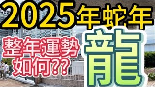 【古柏論命 - 張古柏】2025年乙巳蛇年12生肖整年運勢透析 – 龍