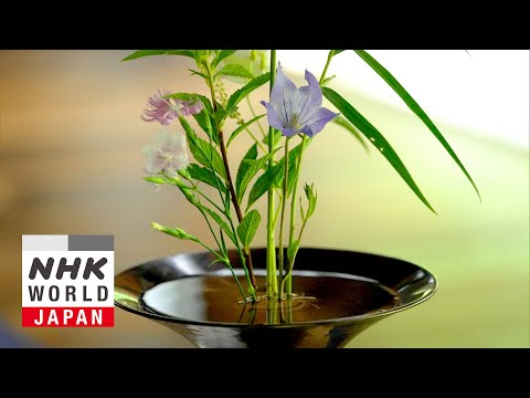 Ikebana: Beauty as It Is - Spiritual Explorers