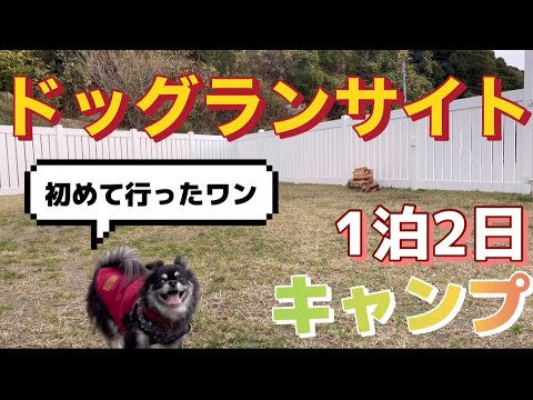 【ドッグランサイト】愛犬を連れて初ドッグランサイトでキャンプ/富津金谷オートキャンプヒルズ