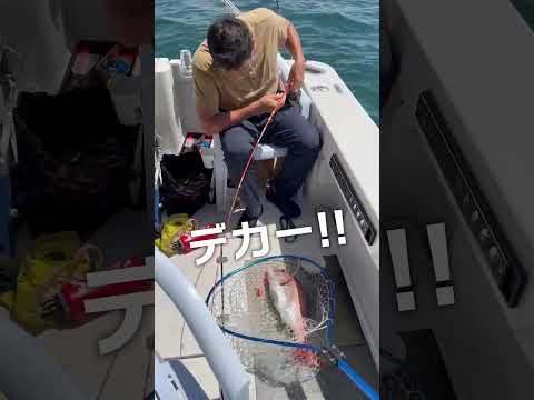 【釣り】下柳VS大物 釣れたのはおいし〜いあの魚!?