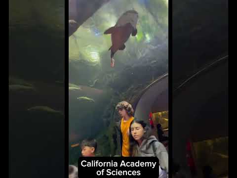 California Academy of Science