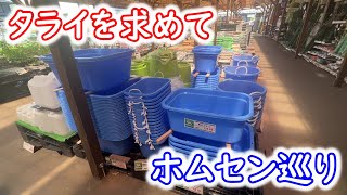 【めだか】飼育容器が足りません！という事でホムセンいきます。Ｂ型おやじ