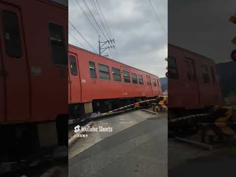 0851　踏切待ち　芸備線　上深川駅を8時53分発　狩留家行き　今から福富ダム湖上の浮島の城跡安芸賀茂福原城跡へ探検セーリングカヤックに行くよ　20241205