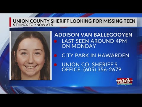 Union County Sheriff looking for missing teen