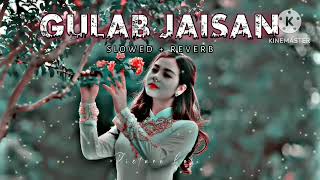 Gulab Jaesan Khilal Badu Neelkamal Singh | Slowed and Reverb Song | Bhojpuri Lofi song |  #trending