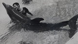 Dealing with a dolphin's 'urges' - The Girl Who Talked to Dolphins: Preview - BBC