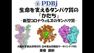 Shapes of proteins for living things - Molecules of COVID-19 (5min)