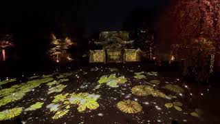 Kyoto Japan 2022 - Kodaiji Temple Light Show