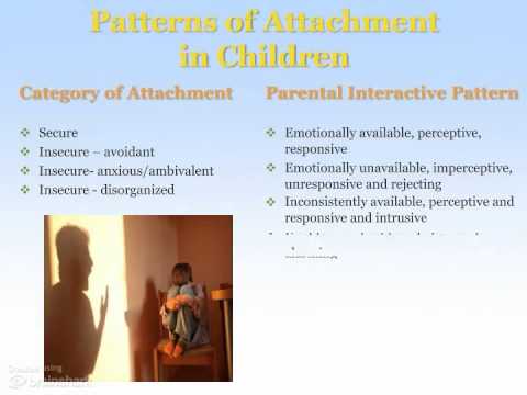 The Importance of Attachment