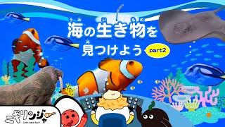 水族館へ行こう！海のいきものとお魚が大集合♪海の生き物を見つけよう２🌟カクレクマノミ・チンアナゴなどかわいい海の生き物といないいないばあで遊ぼう！【ニギリンジャーの赤ちゃん向け・幼児向け知育クイズ】