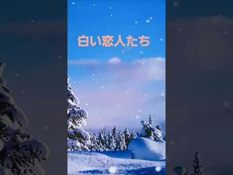 白い恋人達(桑田佳祐)2025 #music #song #桑田佳祐 #サザンオールスターズ #jpop #winter #snow