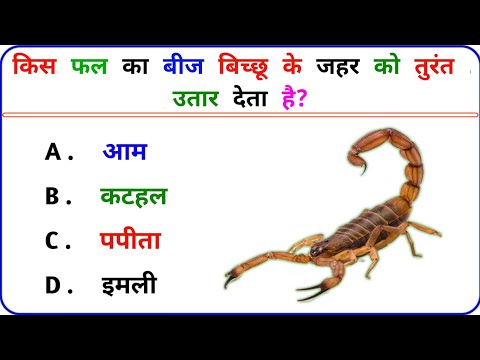 20 खतरनाक पहेलियां || Paheliyan in hindi | Paheliyan with answers | competitive question #viral