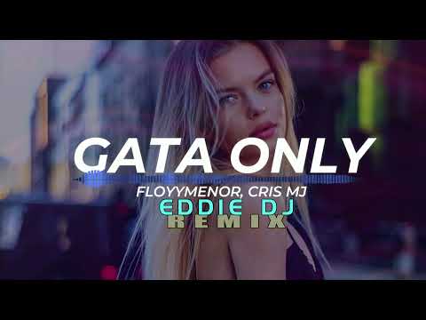 ONLY GATA CRIS MJ FLOYMENOR REMIX EDDIE DJ