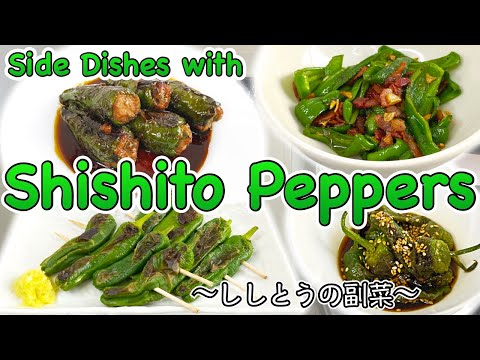 4 easy side dishes with Shishito Peppers 〜ししとう副菜四種〜 | easy Japanese home cooking recipe