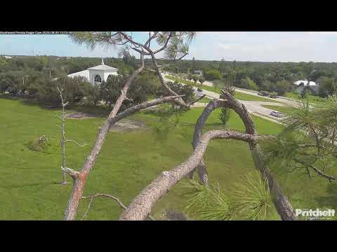 Southwest Florida Eagle Cam