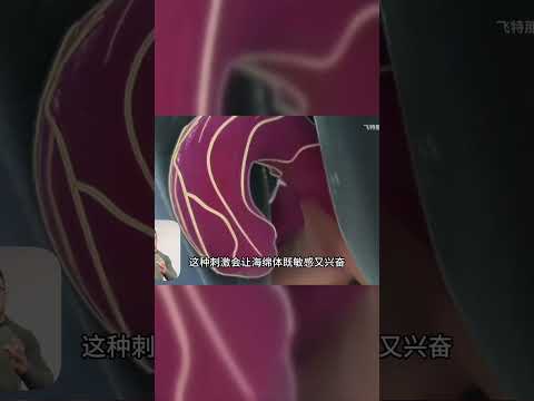 女生海绵体—男生必备知识