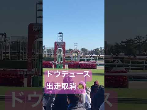 今日は有馬記念🏇