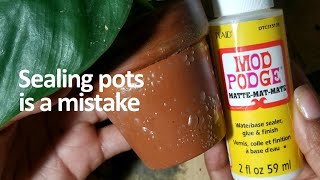 Want a waterproof pot? Watch before using Mod Podge on terracotta pots