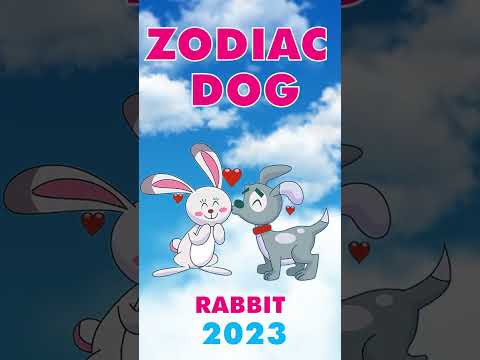 2023 Chinese Horoscope: Zodiac Dog Forecast. What Will Happen in the Year of the Rabbit? #shorts