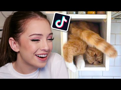 FUNNY TIK TOK videos