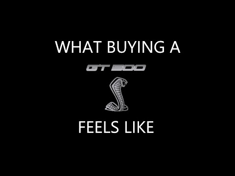 What buying a Ford Performance vehicle feels like