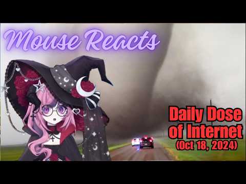 Mouse Reacts To Daily Dose of Internet (Craziest Nature Videos of The Decade) (Oct 18, 2024)