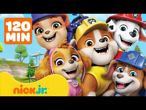 Rubble & Crew | ¡Rubble & Crew + Rescates y Construcciones de PAW Patrol! | Nick Jr. en Español