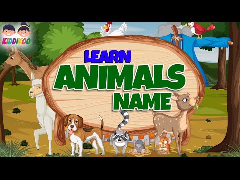 WILD ANIMALS - Wild animals for kids - Learn Wild Animals Sounds and Names - For Children