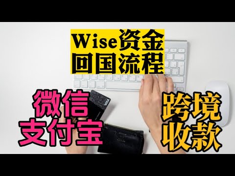 Wise汇款回国内|资金回国|微信支付宝跨境收款