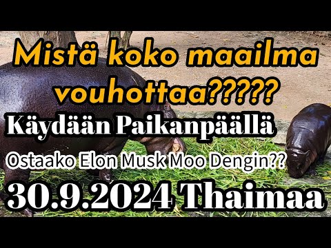 Käydään Kattomassa Mistä Koko Maailma Puhuu Ja Elon Musk Haluaa Ostaa 30.9.2024 Thaimaa Osa 1