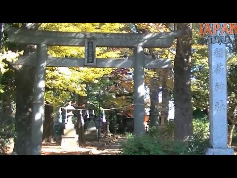 大岱稲荷神社　東京都東村山市恩多町3-33