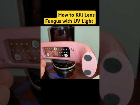 How to Kill Lens Fungus with UV Light #photography #nikon #lens #howto #camera