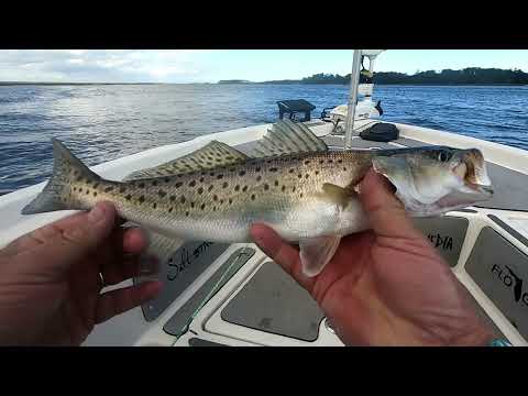 Salt Water Fishing For Dinner