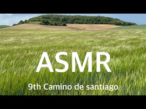 9번째 산티아고순례길 9th camino de santiago ASMR