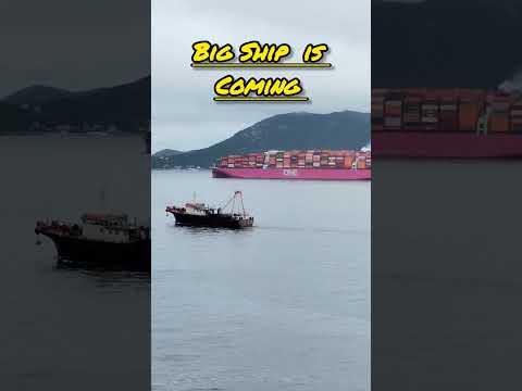 The Big ship Going Somewhere Else #travel #shipping #Hongkong #DoDreamDaizee #shorts