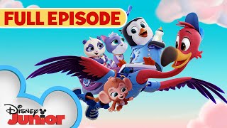 You've Gotta Be Kitten Me 🐱/Whale, Hello There 🐳 | S1 E1 | Full Episode | T.O.T.S. | @disneyjr