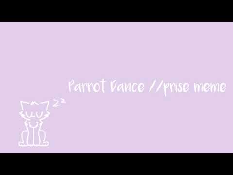 Parrot Dance //prise meme//