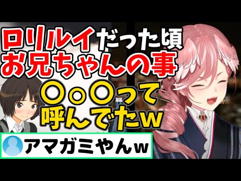 ロリルイ時代のお兄ちゃん大好きエピソードを語るルイ姉【ホロライブ 6期生 切り抜き/鷹嶺ルイ/holoX】