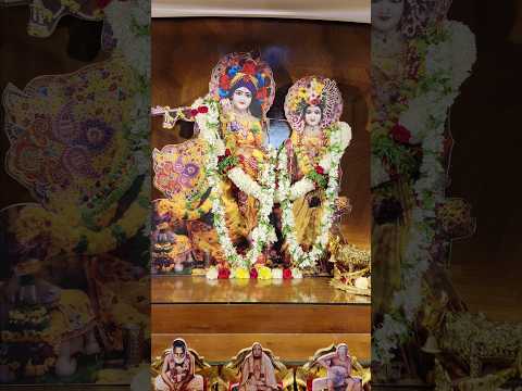 Hare Krishna maha mantra ki Jai #iskcon #youth #hyderabad #shortsfeed #shorts #harekrishna #haribol