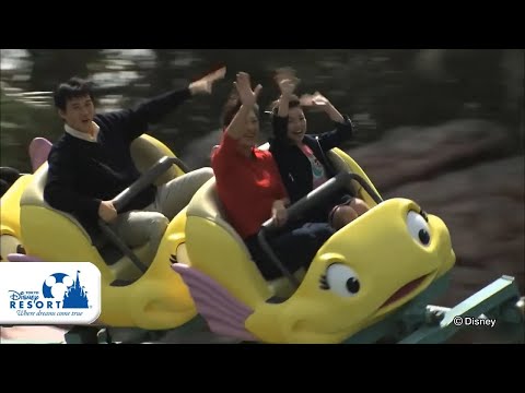 【公式】フランダーのフライングフィッシュコースター / Flounder's Flying Fish Coaster | 東京ディズニーシー/Tokyo DisneySea