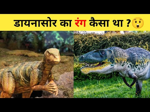 डायनासोर का रंग कैसा था ?😲 | #shorts #dinosaur #ytshort