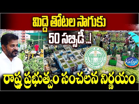 మిద్దె తోటల సాగుకు 50% సబ్సిడీ...! | 50% Subsidy for Cultivation of Terrace gardens | Kaloji TV