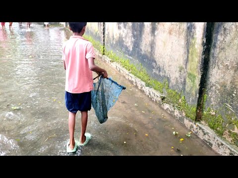 Amazing fishing video in flood | Net Fishing video | little boy catch fish